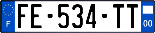 FE-534-TT