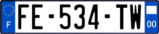 FE-534-TW