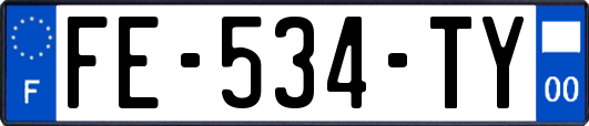 FE-534-TY