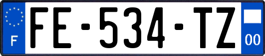 FE-534-TZ