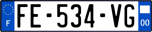FE-534-VG