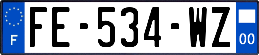 FE-534-WZ