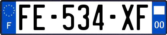 FE-534-XF