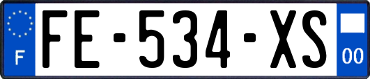 FE-534-XS