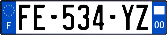 FE-534-YZ