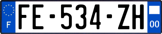FE-534-ZH