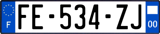 FE-534-ZJ