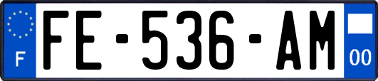 FE-536-AM