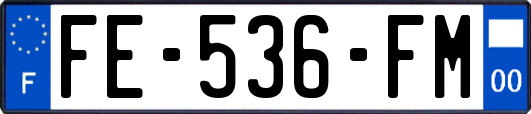 FE-536-FM