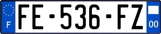 FE-536-FZ