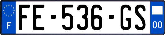 FE-536-GS