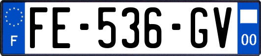 FE-536-GV