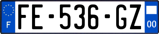FE-536-GZ