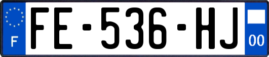 FE-536-HJ