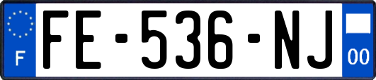 FE-536-NJ
