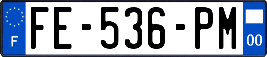 FE-536-PM