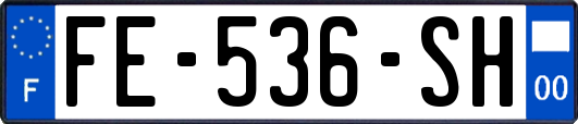 FE-536-SH
