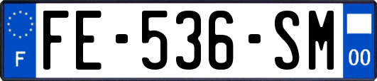FE-536-SM