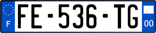FE-536-TG