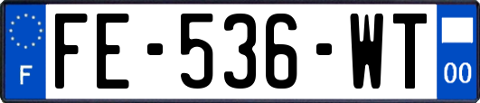 FE-536-WT