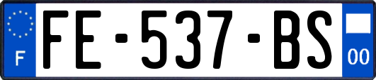 FE-537-BS