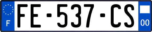 FE-537-CS