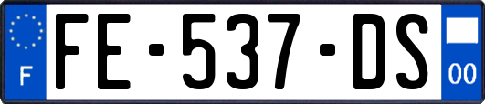 FE-537-DS