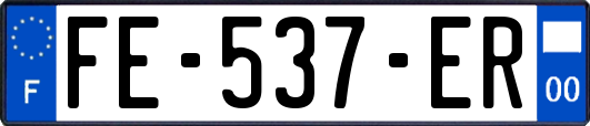 FE-537-ER
