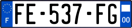 FE-537-FG