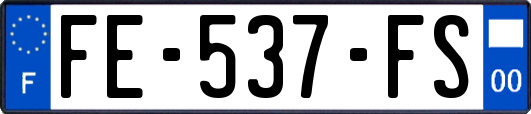 FE-537-FS