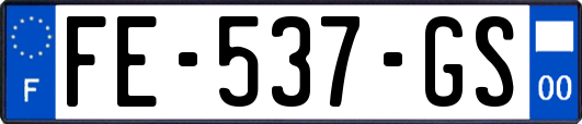 FE-537-GS