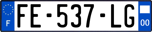 FE-537-LG