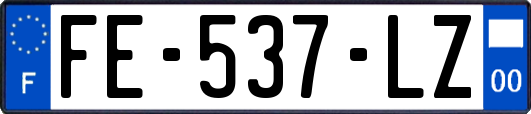 FE-537-LZ