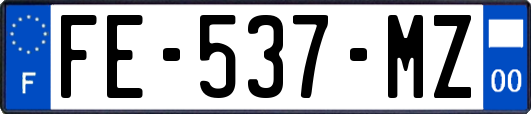 FE-537-MZ