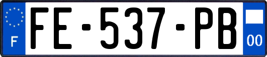 FE-537-PB