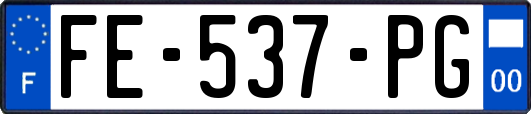 FE-537-PG