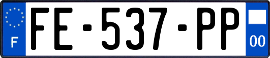 FE-537-PP