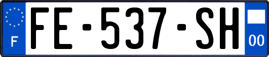 FE-537-SH