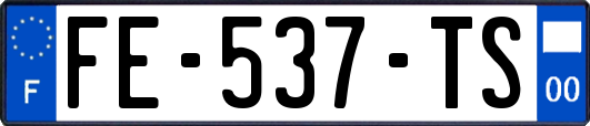 FE-537-TS