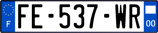 FE-537-WR