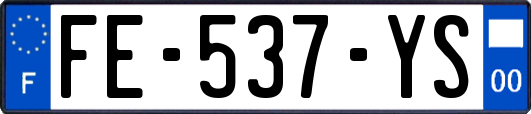 FE-537-YS