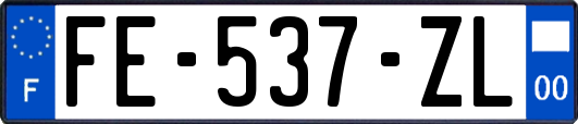 FE-537-ZL