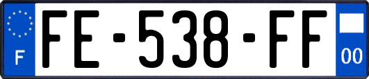 FE-538-FF