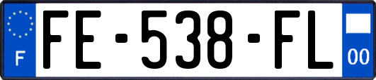 FE-538-FL