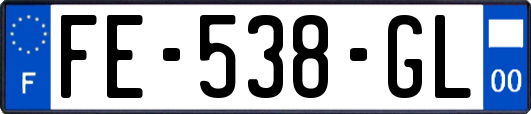FE-538-GL