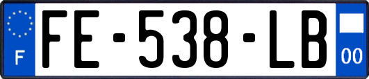 FE-538-LB