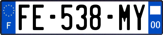 FE-538-MY