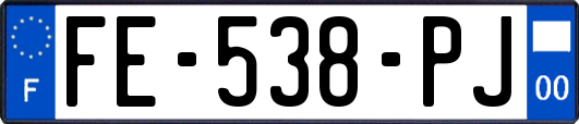 FE-538-PJ