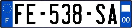 FE-538-SA