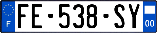 FE-538-SY